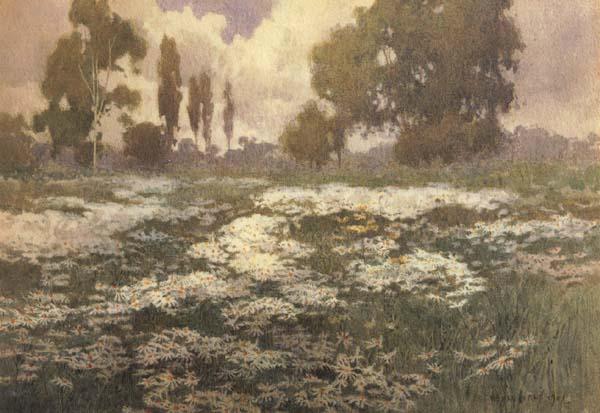 unknow artist Field of Daisies China oil painting art